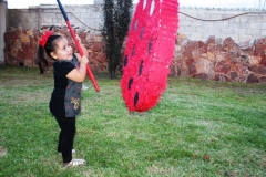 Agradable-Piñata-de-Maria-Dolores-4