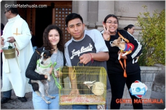 BENDICION-A-LOS-ANIMALES-EN-EL-DIA-DE-SAN-ANTONIO-DE-ABAT-4