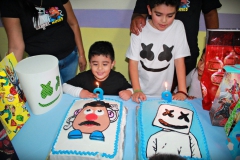 CUMPLEAÑOS-9-AÑOS-DE-GABRIEL-Y-3-AÑOS-DE-MATEO-17